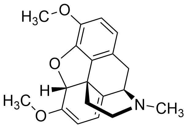 Fichier:Groupe 4-Thébaïne.png