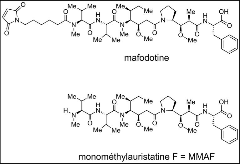 Fichier:Groupe 4-Mafodotine.png