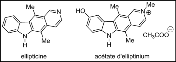 Fichier:Groupe 4-Ellipticine.png
