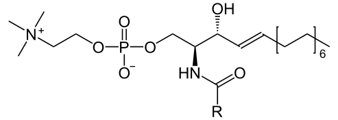 Fichier:Groupe 11-Sphingomyéline.png