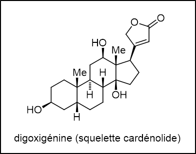 Fichier:Groupe 4-Cardénolide.png