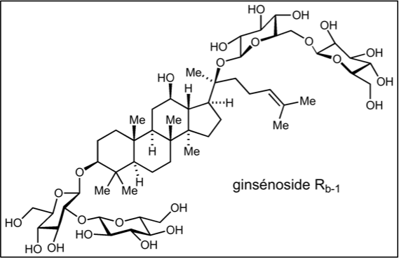 Fichier:Groupe 4-Ginsénoside.png