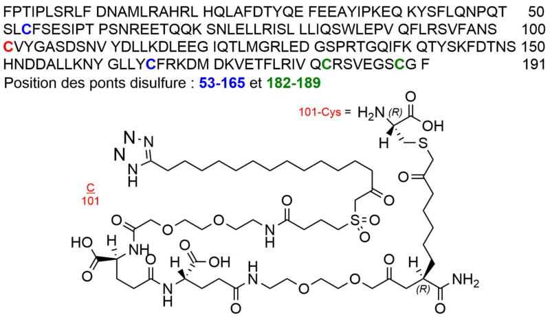 Fichier:Gr 22-Somapacitan.png