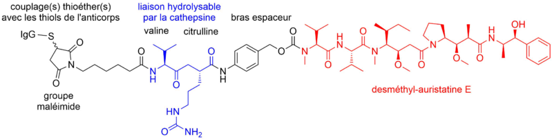 Fichier:Groupe 22-Brentuximab vedotine.png