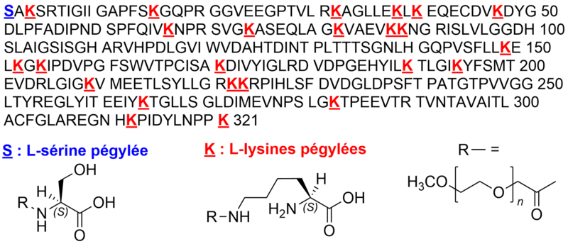 Fichier:Groupe 22-Pegzilarginase.png