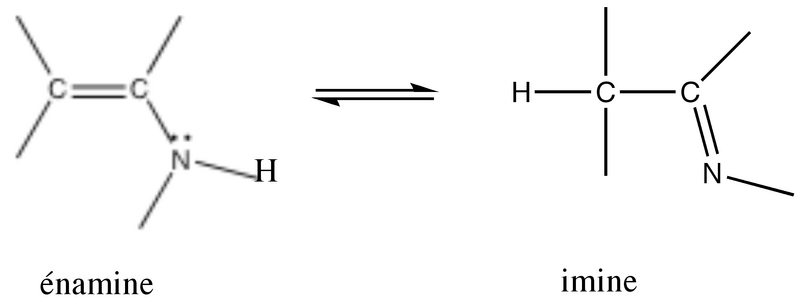 Fichier:Groupe 1-Énamine.png