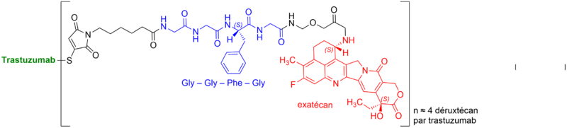 Fichier:Trastuzumab déruxtécan 1.png