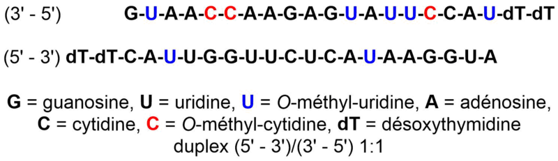 Fichier:Groupe 22-Patisiran.png
