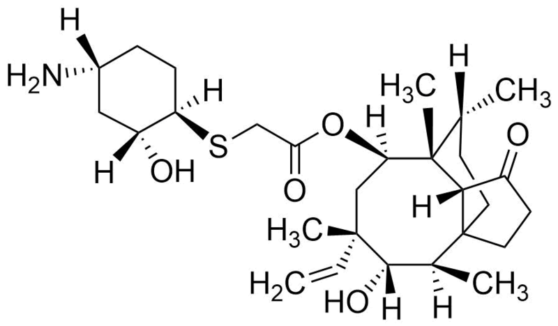 Fichier:Groupe 22-Léfamuline.png