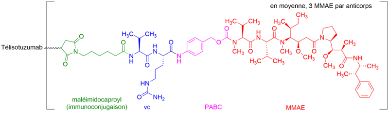 Fichier:Télisotuzumab védotine.png