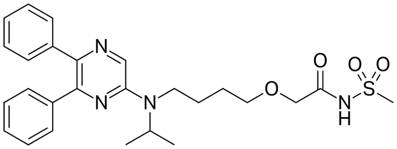 Fichier:Groupe 22-Séléxipag.png