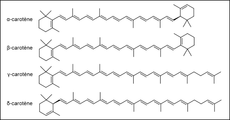 Fichier:Groupe 4-Carotène.png