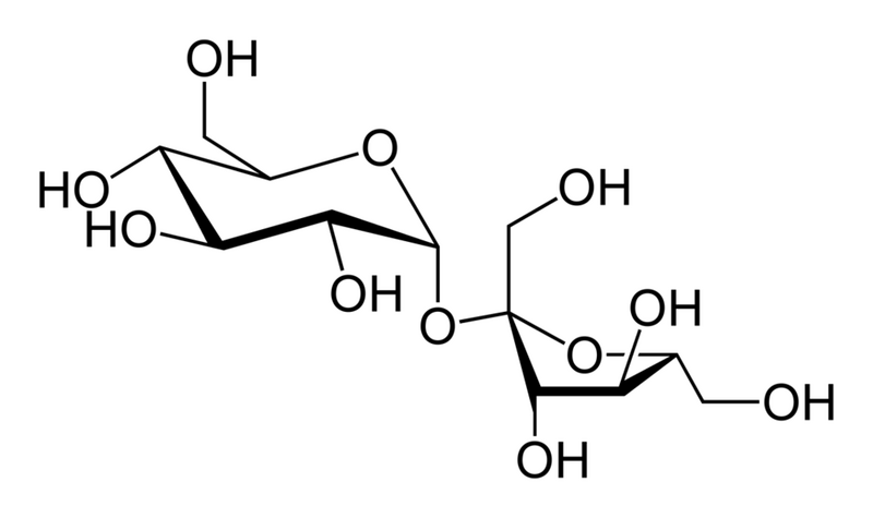 Fichier:Groupe 11-Saccharose.png