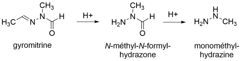 Fichier:Dégradation de la gyromitrine.png