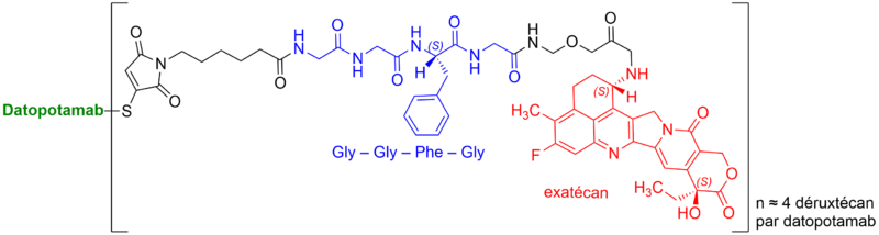 Fichier:Datopotamab déruxtécan.png