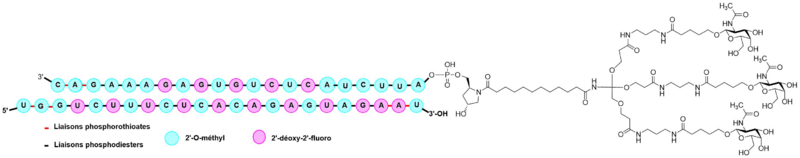Fichier:Groupe 22-Givosiran.png