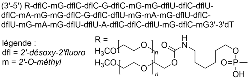 Fichier:Groupe 22-Avacincaptad pégol.png