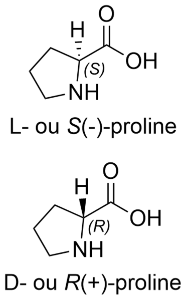 Fichier:Proline.png