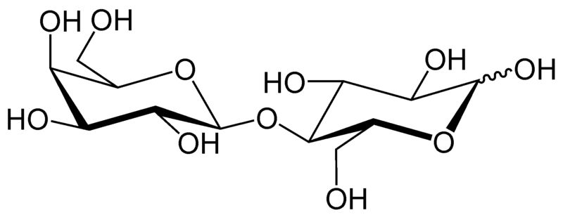 Fichier:Groupe 1-Lactose.png